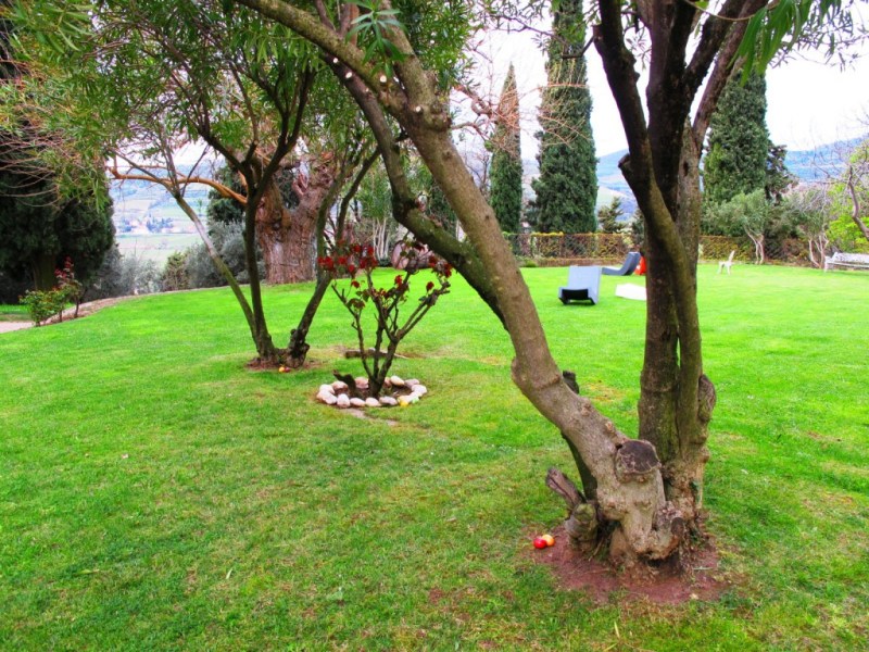 Massimago estate valley of Mezzane