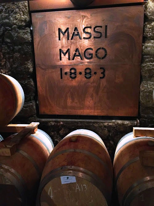 Valpolicella wine tasting