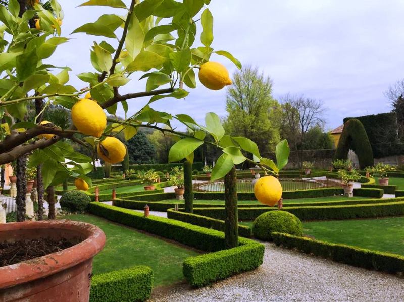 PEREZ POMPEI SAGRAMOSO VILLA