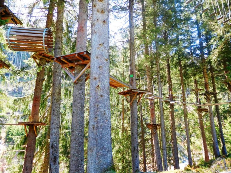 Baumzipfelweg Adventure Park