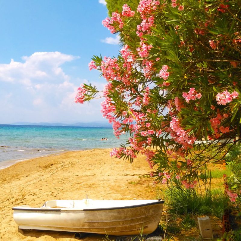 Anthemus Sea Beach Hotel & Spa