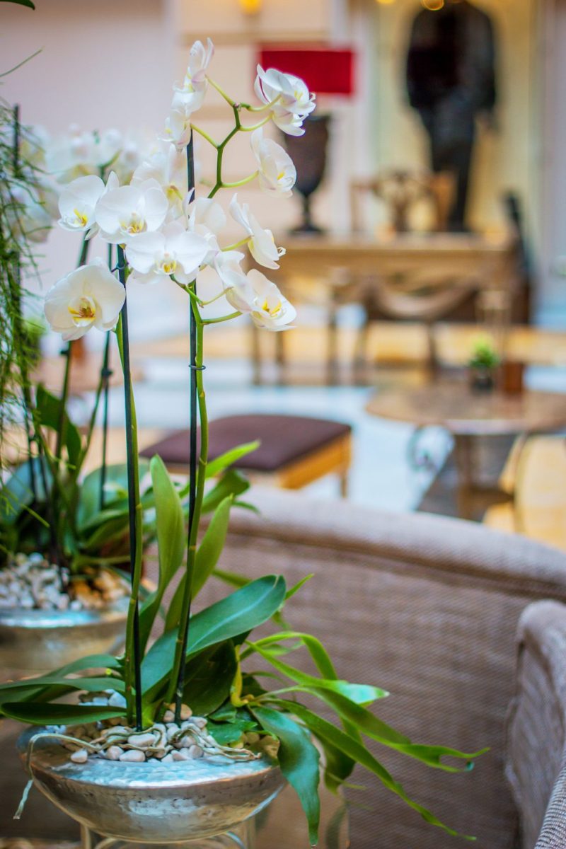 Boscolo Budapest Lobby