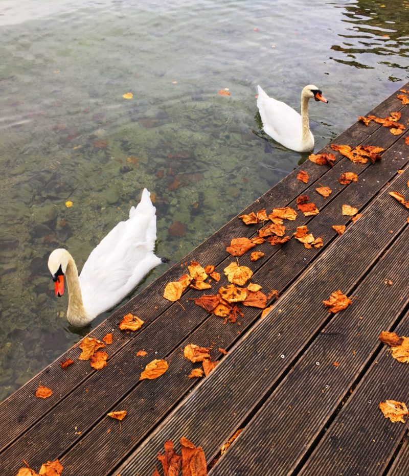 Weisses Roessl Hotel