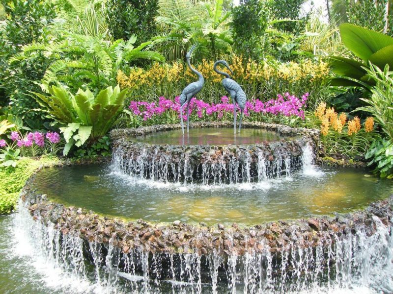 Botanic Gardens Singapore