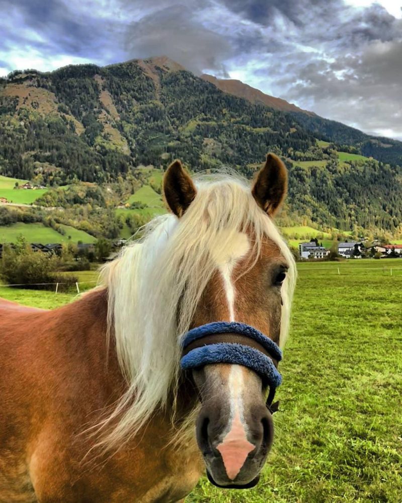 Horse riding Gastein