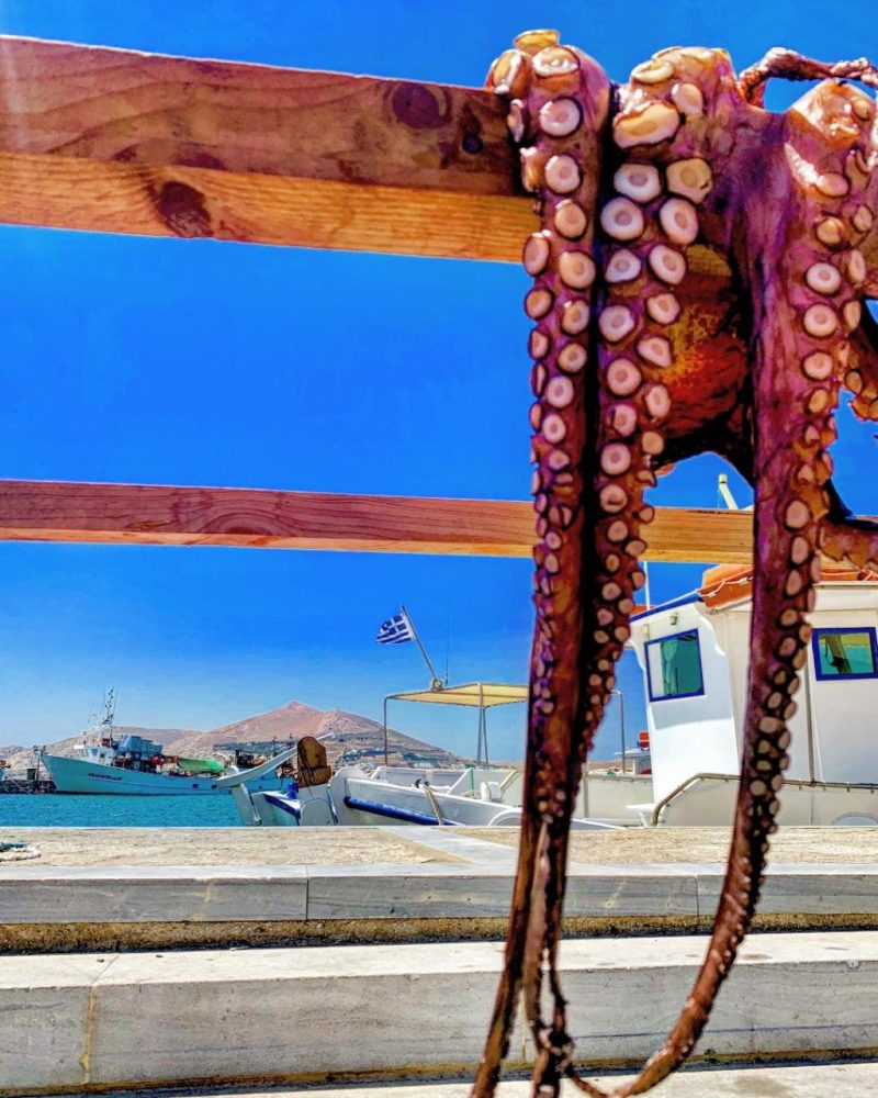 Naoussa Paros Seafood