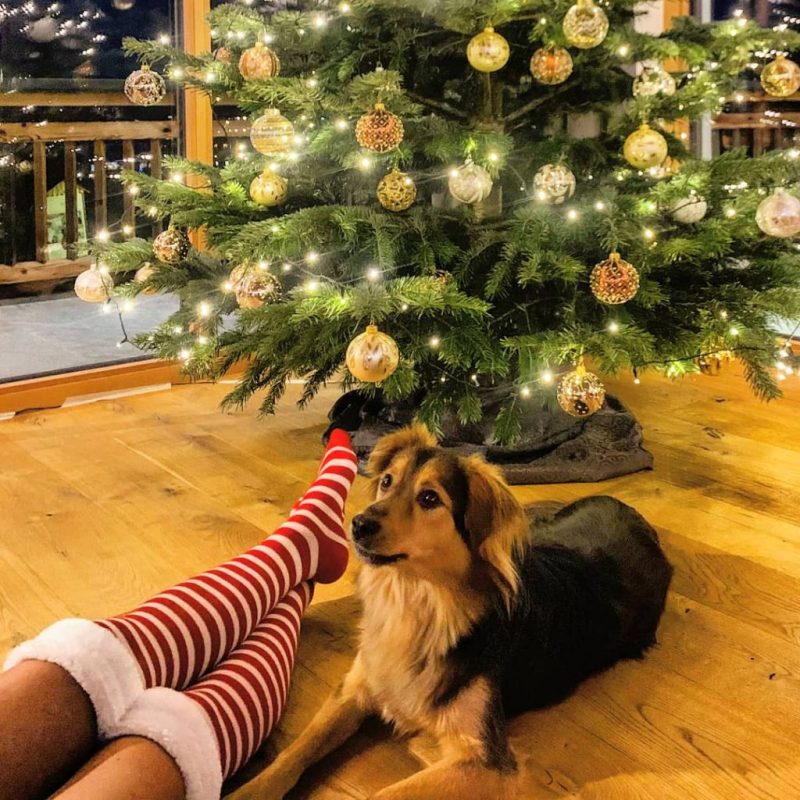 Christmas Austrian Alps